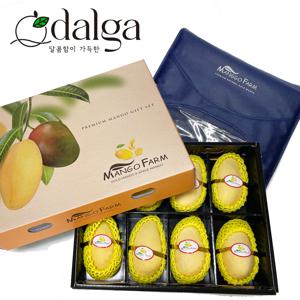 태국 남독마이 골드망고 선물세트 8입(선물가방 포함) 2.5kg 내외