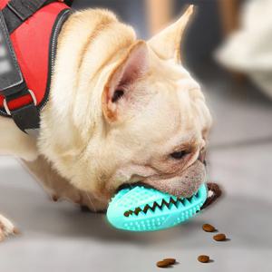 강아지 애견 장난감 실내 야외 이갈이 공 터그놀이 치석제거 양치 보상 대형견 반려동물