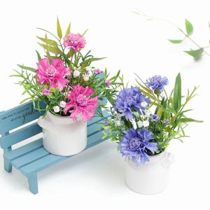 납골당 꾸미기 미니 수레국화 조화 화분 봉안당 꽃 장식 추모꽃