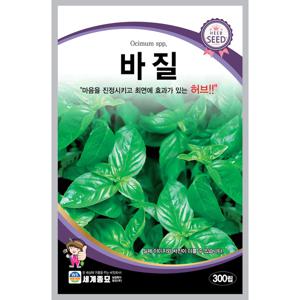 바질 300립 허브씨앗 종자 허브꽃 일년생 향신료