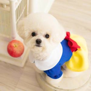 백설공주 펫 코스튬 의상 강아지 고양이 할로윈