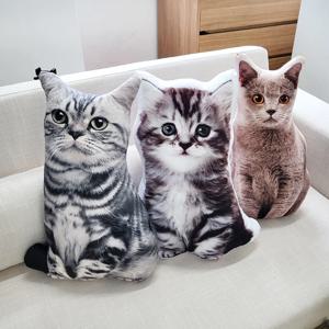 냥이필로우 고양이 쿠션 애착 인형 안고자는 바디필로우 수면 베개 대왕쿠션 집들이 선물