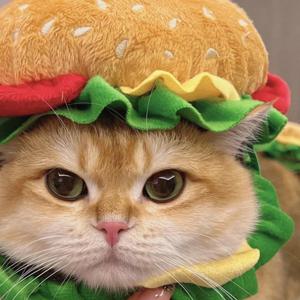 햄버거 모자 강아지 고양이 할로윈 펫 코스튬 의상