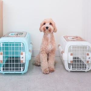 반려동물 더블캐리 이동장 켄넬