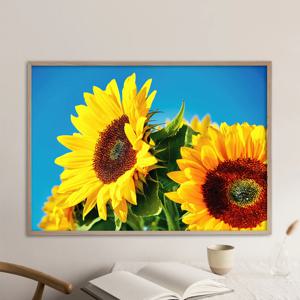 2+1 해바라기 그림 액자 돈들어오는 인테리어 미드센추리 모던 대형 포스터 - 컨피던스