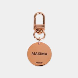 PET 써지컬스틸 네임택 333XA ROSE GOLD 강아지 고양이 인식표 이름 양면 각인