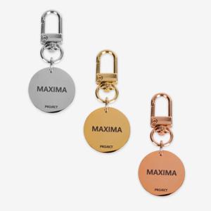 MAXIMA 써지컬스틸 네임택 333XA 3color 강아지 고양이 인식표 이름표