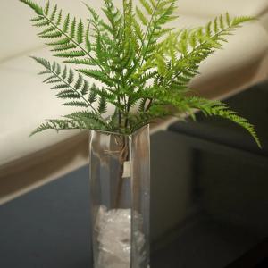 보스톤부쉬 인조가지 조화식물 행잉 플랜테리어 인테리어 실내 벽장식 나무 녹색소품