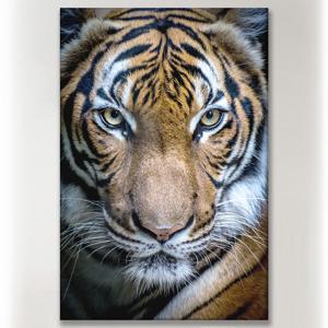 호랑이그림 풍수지리 그림 사진 캔버스 액자