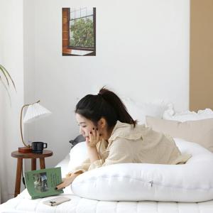고밀도 워싱 바디필로우 U자 대형 6colors
