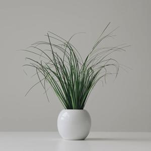 부들잔디조화 달항아리화분세트 거실 인테리어 조화