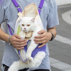 [해외] 고양이 강아지 슬링백 캥거루 이동가방 3colors 3size