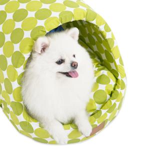 C트 강아지 동글이 하우스 고양이 숨숨집 여름용 사계절 동굴 하우스
