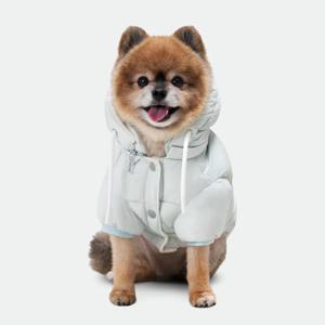 소프트 구름 패딩 강아지 점퍼 따뜻한 겨울옷