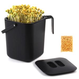 사각 콩나물재배기+체험콩30g