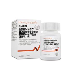 프로테오글리칸 콘드로이친 연어코연골 추출물 한결다움 글루코사민 60정