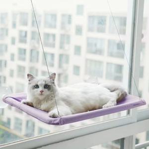 고양이 스카이 윈도우 해먹