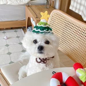 강아지크리스마스모자 강아지산타모자