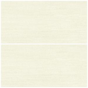 EOM 1683 벽타일 300X600 무광 도기질타일