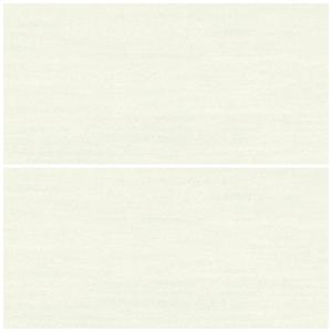 EOM 1681 벽타일 300X600 무광 도기질타일