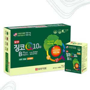 징코큐텐비플러스(Ginkgo Q10 B plus) 90정