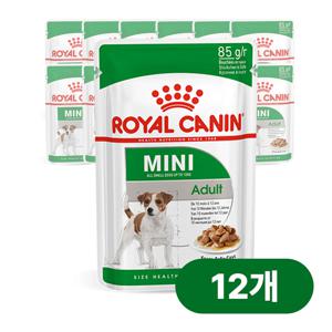 독 미니 어덜트 파우치 85g x 12개