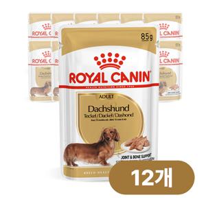 독 닥스훈트 어덜트 파우치 85g x 12개