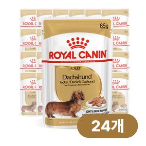 독 닥스훈트 어덜트 파우치 85g x 24개
