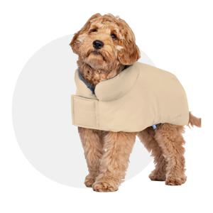 LF 오늘의집 이지핏 발열 강아지패딩 코코넛즈