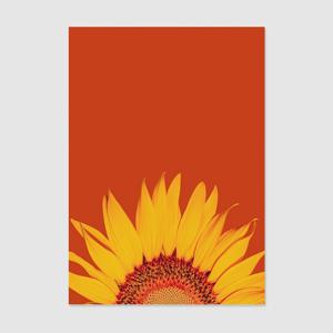1+1 풍수인테리어 해바라기 40종 - 2. 풍수인테리어 해바라기002