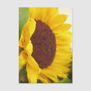 1+1 풍수인테리어 해바라기 40종 - 37. 풍수인테리어 해바라기037