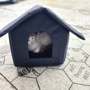 길고양이 겨울나기 고양이 겨울집 실외 비닐텐트 길냥이 집 하우스 - 블랙 3 size