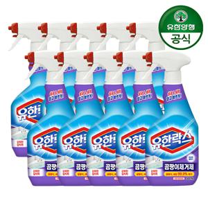 유한락스 곰팡이제거제 500ml 10개