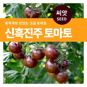 신흑진주 토마토 씨앗 텃밭만들기 열매채소 키우기