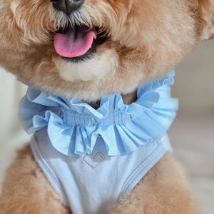 피어리 초커 강아지 고양이 목걸이