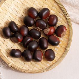 밤 모형(중) 20개