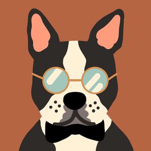 DIY 명화그리기 보스턴테리어 20X20cm