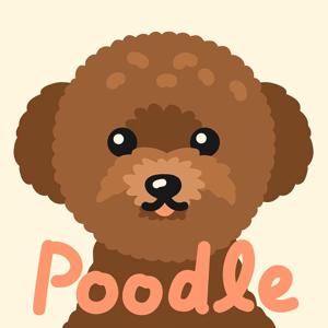 DIY 명화그리기 초코 푸들 20X20cm