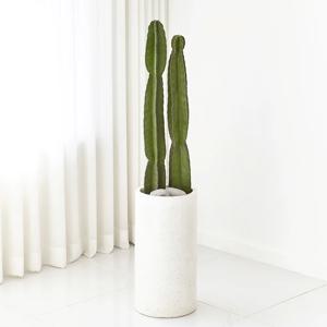 귀면각 테라조 대형화분 공기정화식물(수도권 배송)