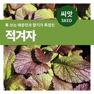 적겨자 씨앗 텃밭만들기 잎채소 키우기