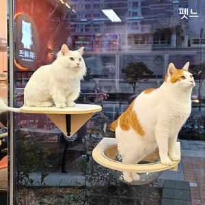 고양이 창문해먹 흡착식 튼튼한 캣해먹 일광욕 고양이침대