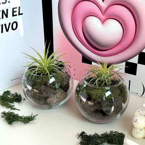 이오난사 유리볼 4종 세트 테라리움 공기정화 습기제거 식물 스칸디아모스 플랜트 소품