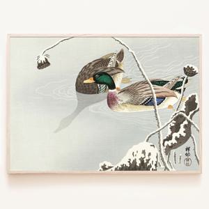 오하라 코손 - 청둥오리 한 쌍 단아한 동양화 오리엔탈 무드