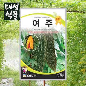 여주 10립 씨앗 씨 종자 채소 야채
