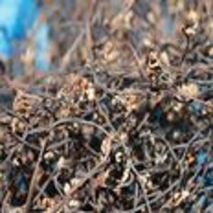 지리산 하동 자연산 건고사리 100g