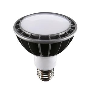 LED PAR30 램프 15W_2types