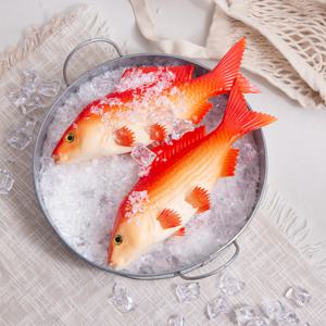 비단 잉어 모형 (소 - 레드) 1개