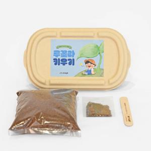 아이농부 새싹재배 루꼴라 키우기 원예키트
