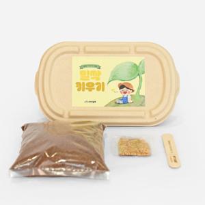 아이농부 새싹재배 밀싹 키우기 원예키트