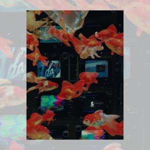 빈티지 인테리어 TV  금붕어 A3 디자인 포스터(미니포스터 세트 가능)